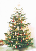 árvore-de-natal 35 lista